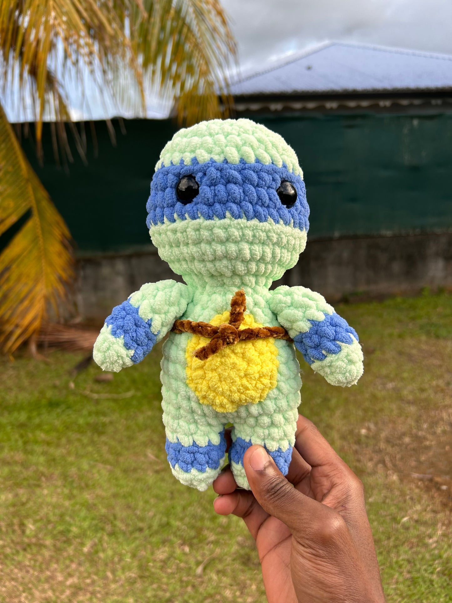 Tortues ninja
