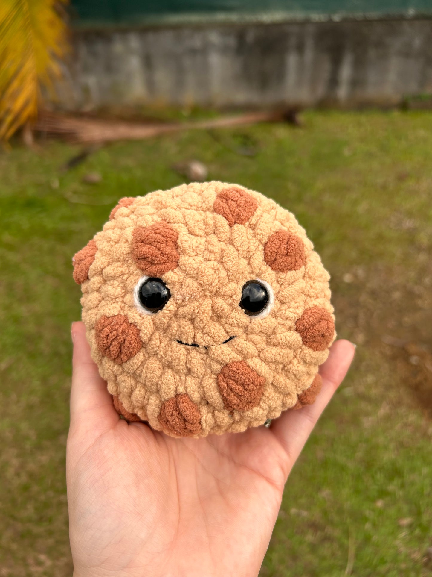 Gros cookies