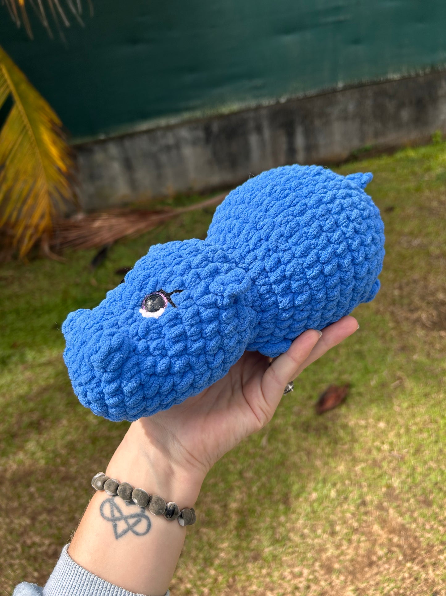 Hippopotame