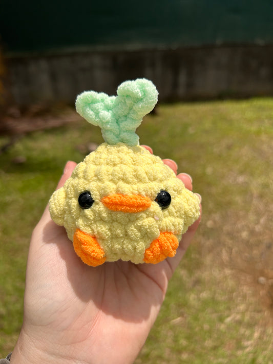 Poussin plante