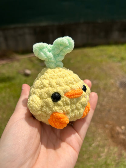 Poussin plante