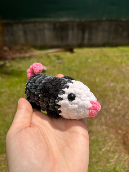 Petit opossum