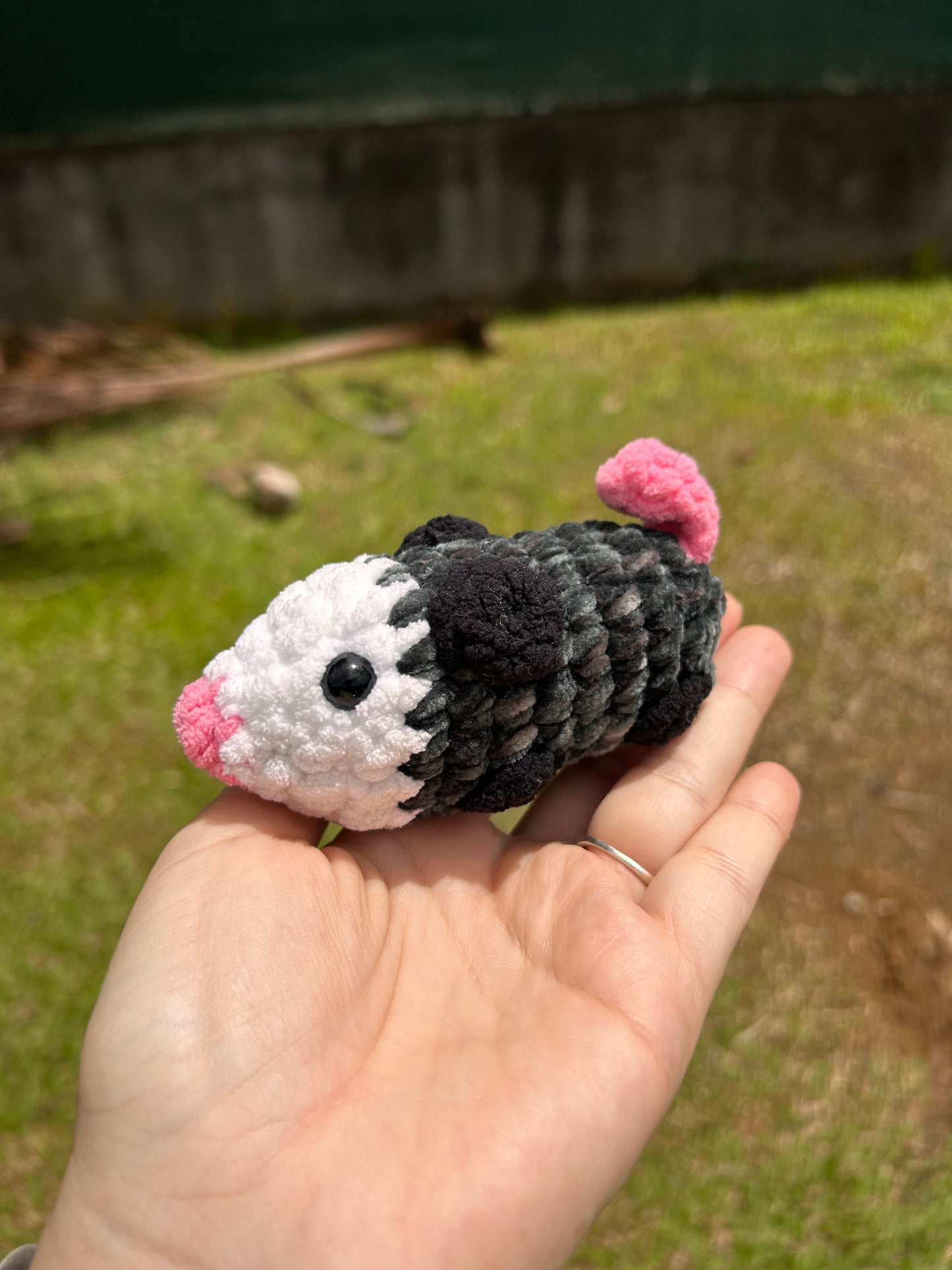 Petit opossum