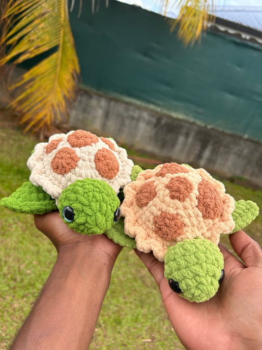 Tortues