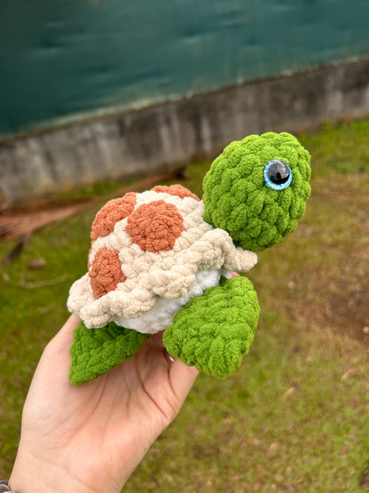 Tortues