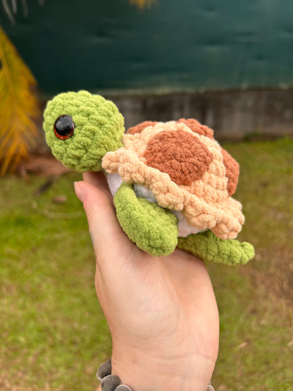 Tortues
