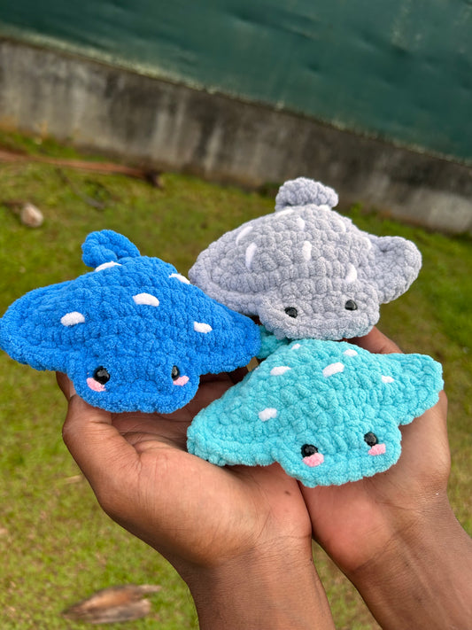 Petites raies