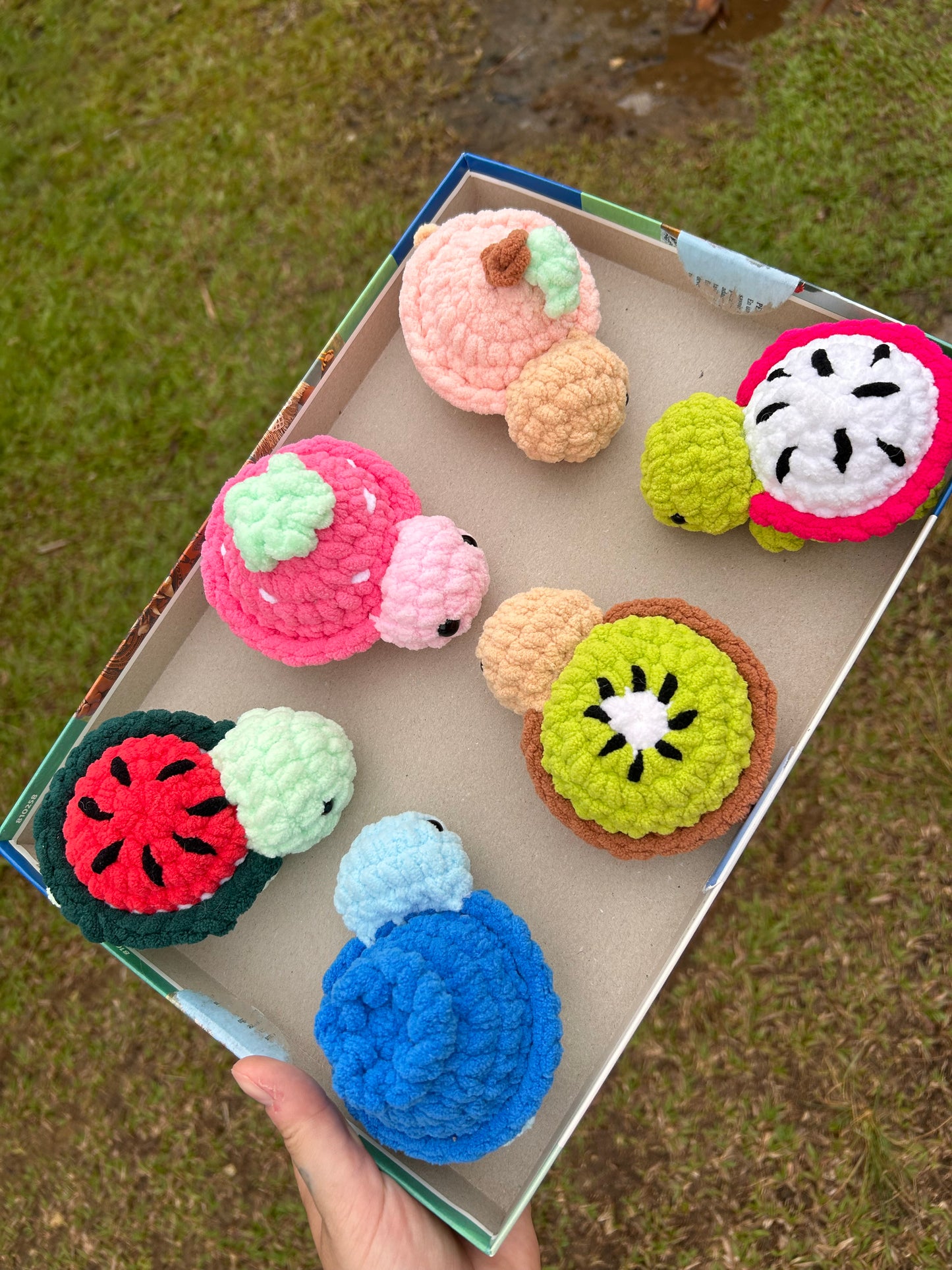 Petites tortues fruit
