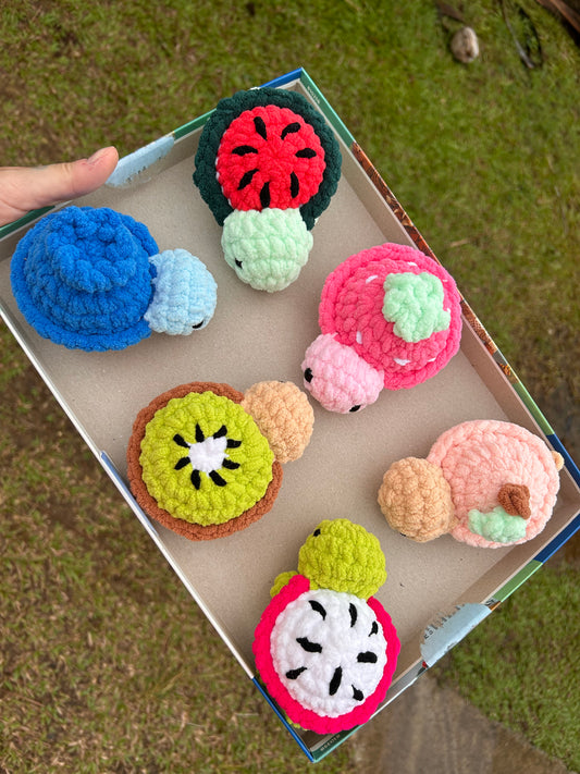 Petites tortues fruit