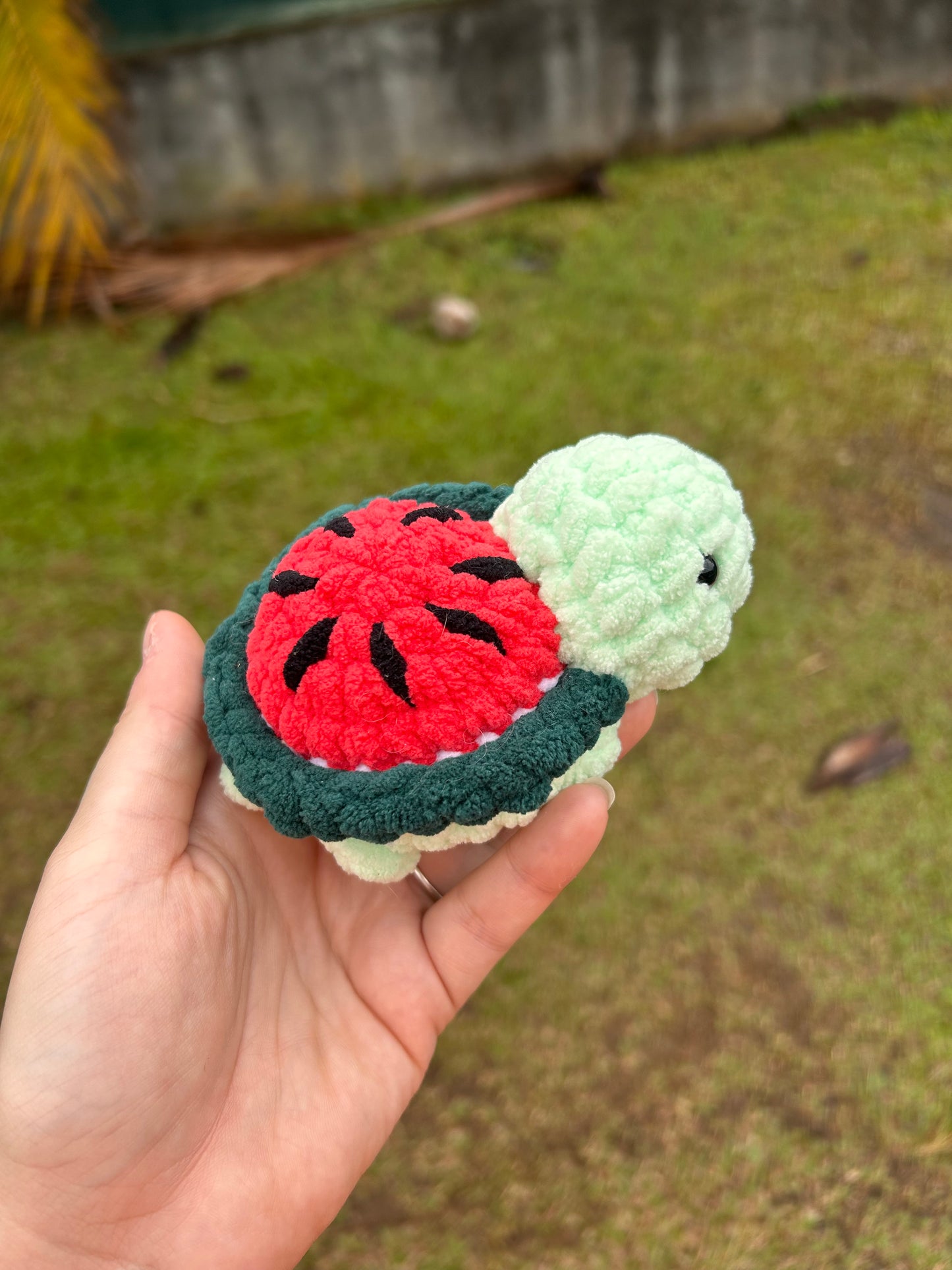 Petites tortues fruit