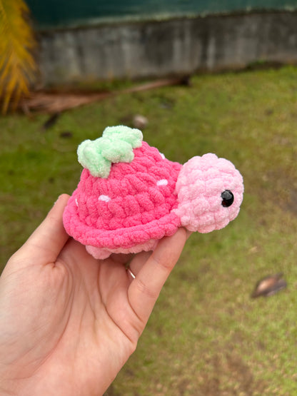 Petites tortues fruit